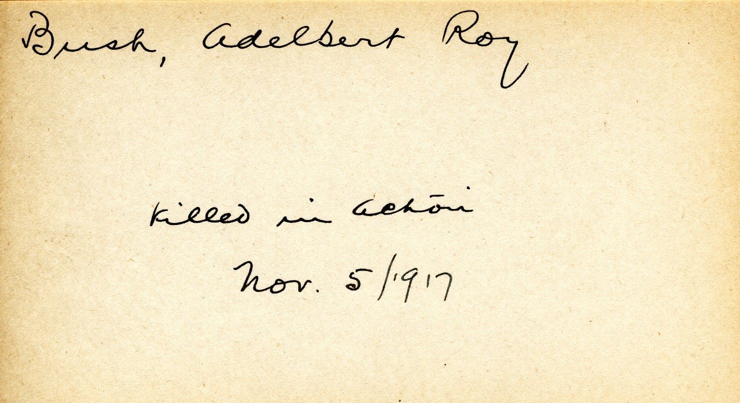 Card Describing Cause of Death of Bush, 15th November 1917