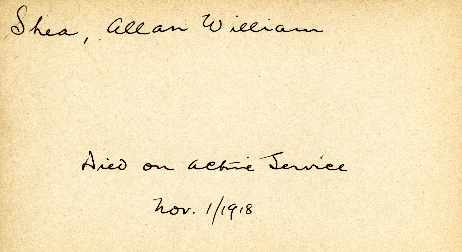Card Describing Cause of Death of Shea, 1st November 1918